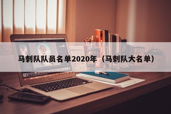 马刺队队员名单2020年（马刺队大名单）