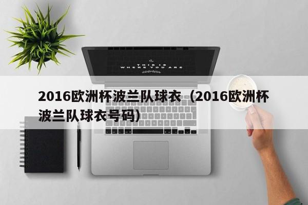 2016欧洲杯波兰队球衣（2016欧洲杯波兰队球衣号码）