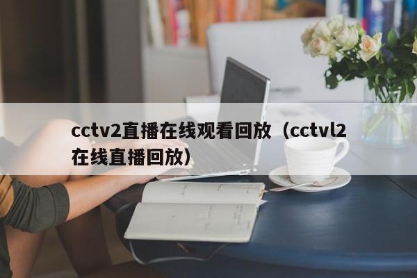 cctv2直播在线观看回放（cctvl2在线直播回放）